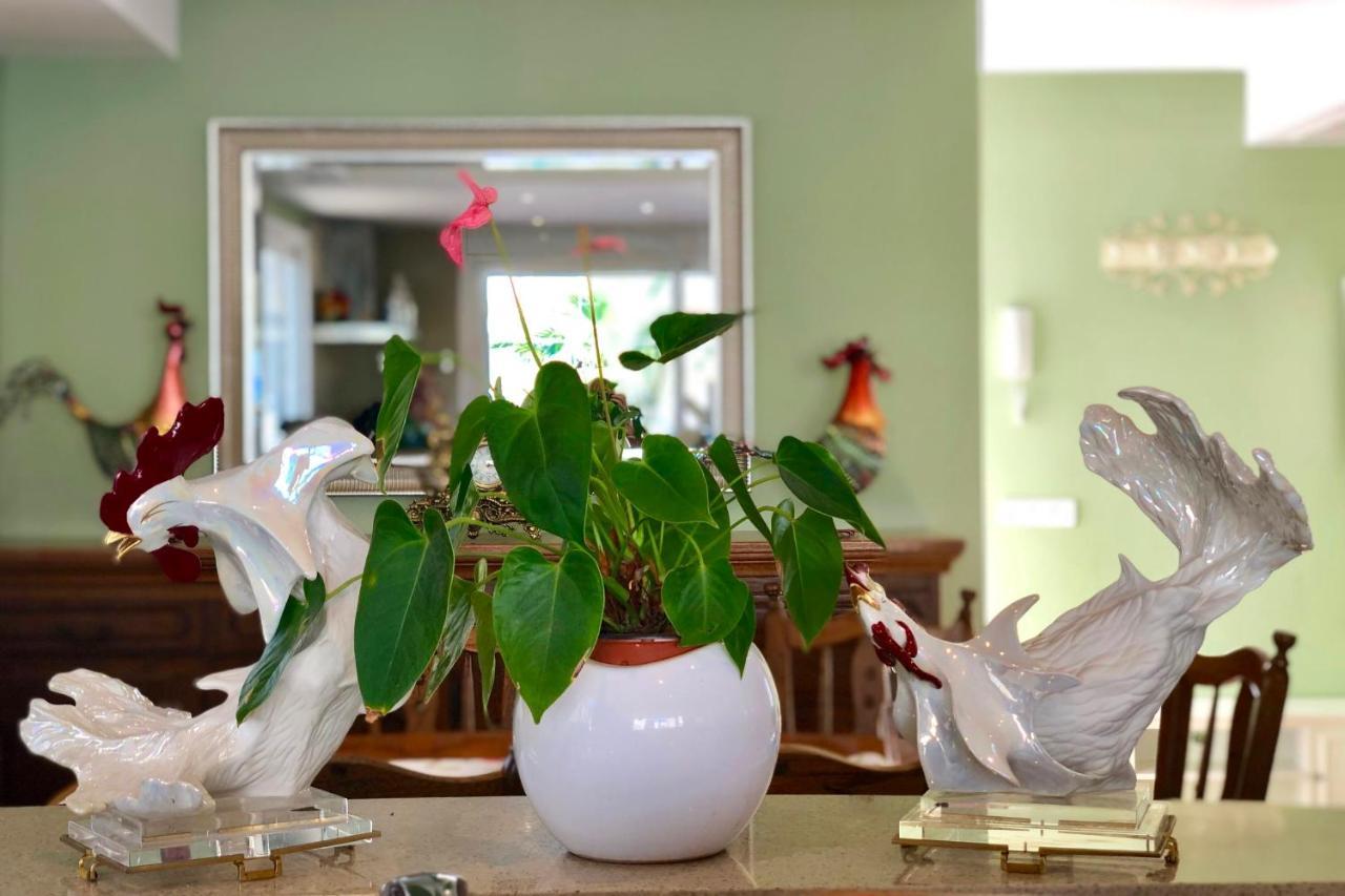 Arenda Pino Alto Villa Gallo Miami Playa Ngoại thất bức ảnh